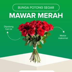 Mawar Merah Tangkai Pendek