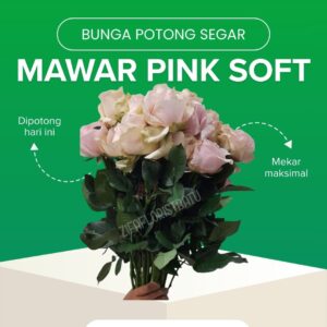 Mawar Pink Soft Potong ( Tangkai Pendek)
