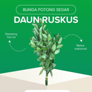 Daun Ruskus