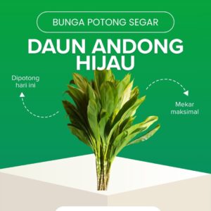 Daun Andong Hijau